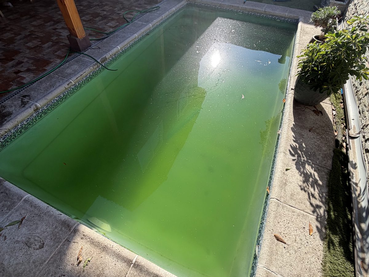 Antes: piscina con agua verde en Santiago
