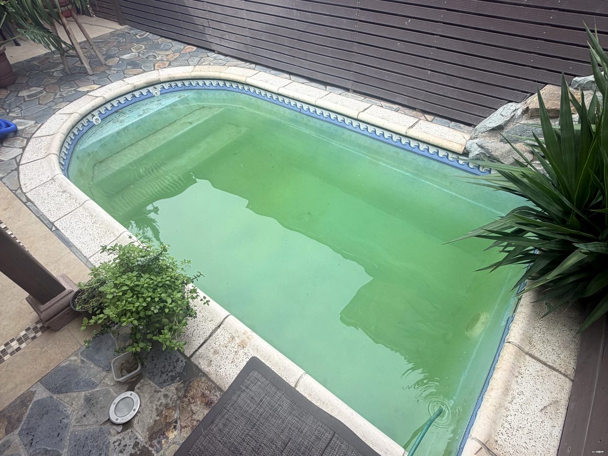 Antes: piscina con agua verde en Santiago