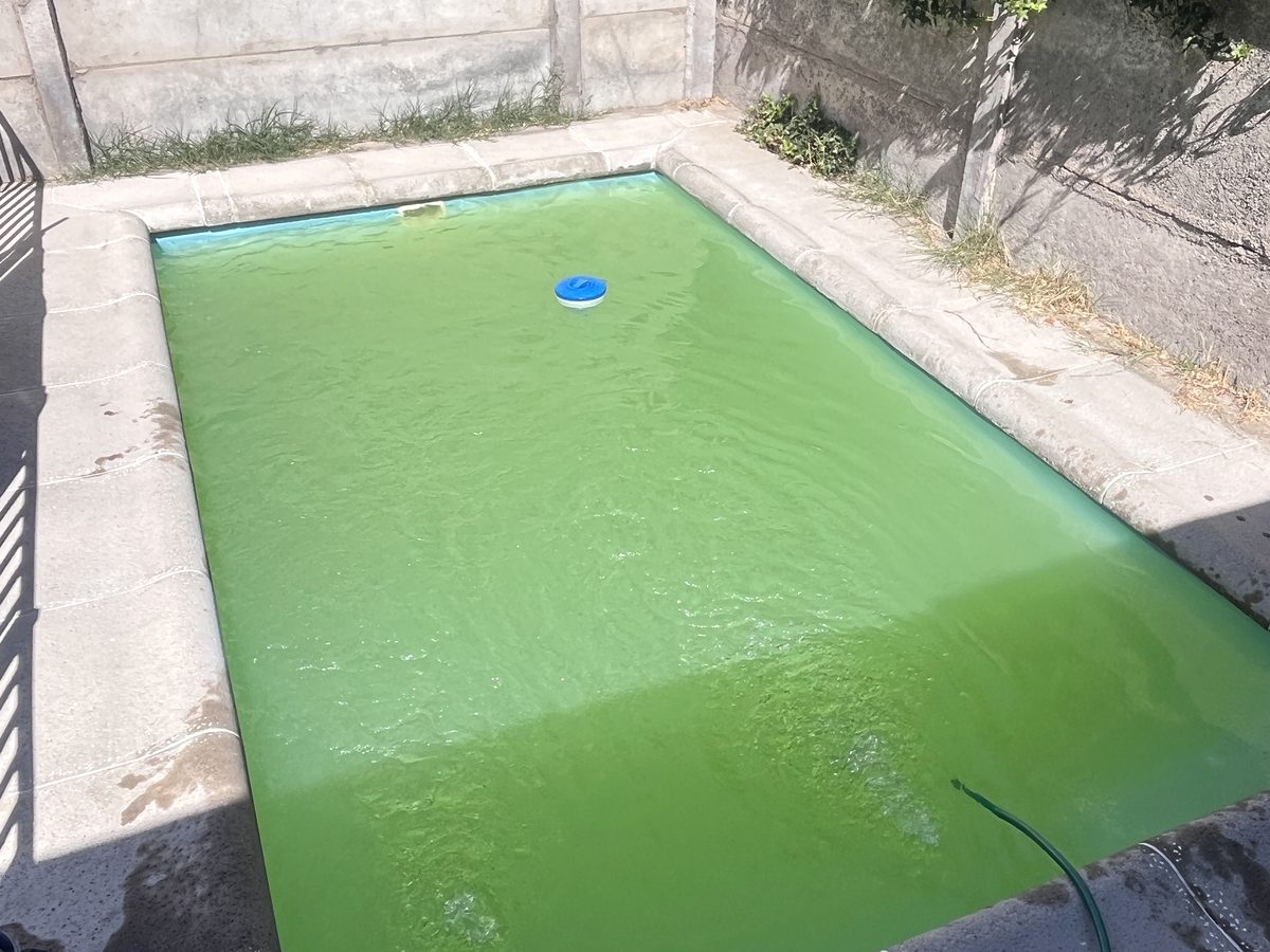 Antes: piscina con agua verde en Santiago